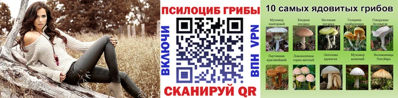 Псилоцибиновые грибы прущие грибы  Омск 