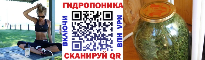 Конопля AK-47  цена   Омск 
